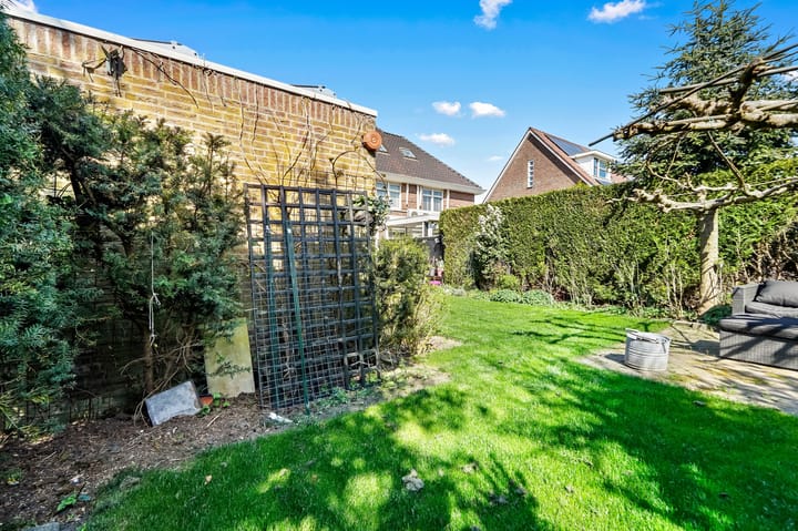 Foto 18 van Boswinde 75