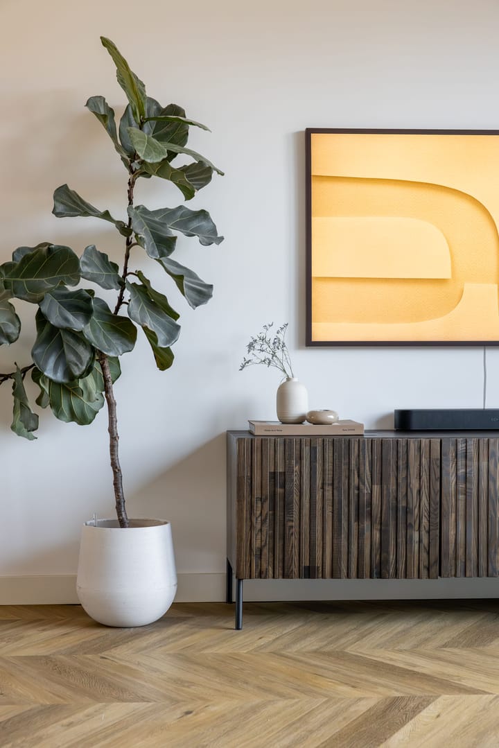 Foto 10 van Pijlkruid 10