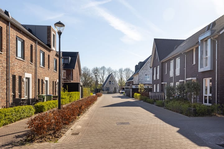 Foto 40 van Pijlkruid 10