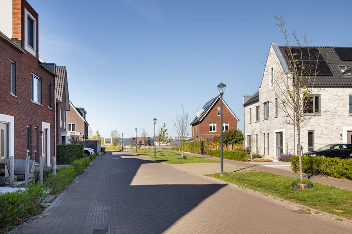 Foto 41 van Pijlkruid 10