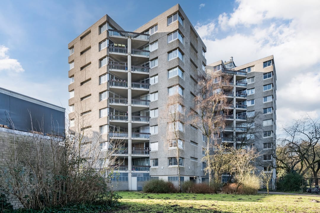 Photo 1 of Gouden Leeuw 731