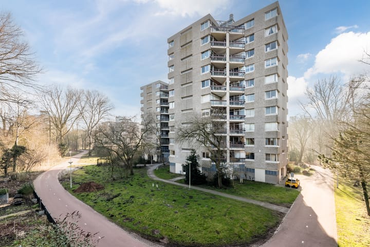 Foto 5 van Gouden Leeuw 731