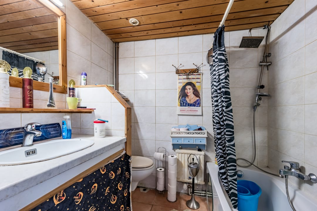 Photo 13 of Gouden Leeuw 731