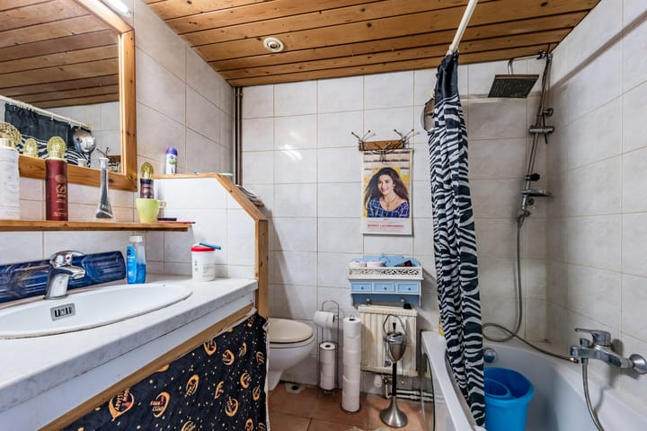 Foto 13 van Gouden Leeuw 731