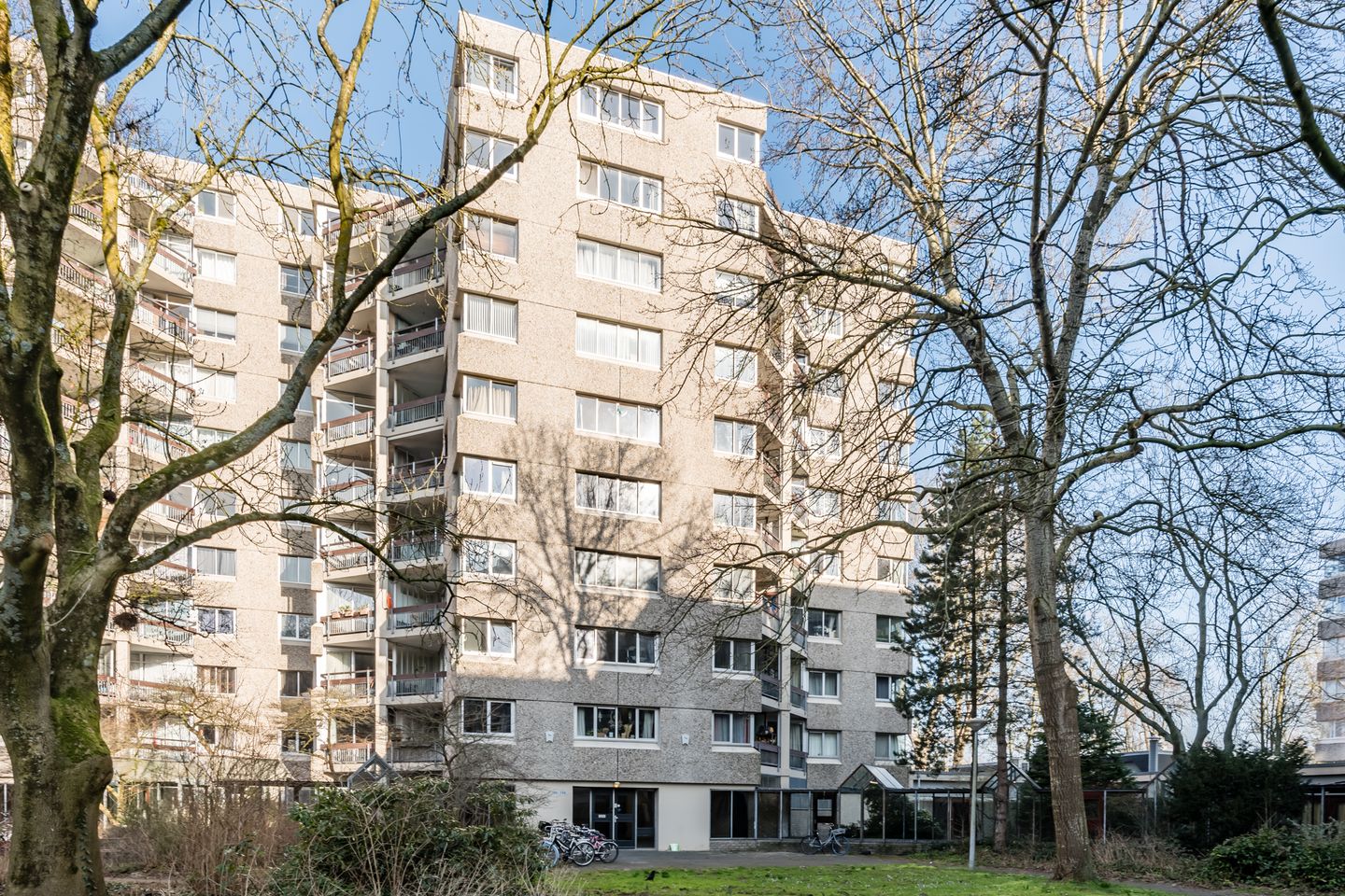 Photo 14 of Gouden Leeuw 731