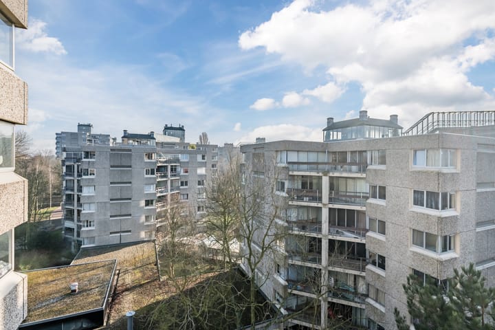 Foto 15 van Gouden Leeuw 731