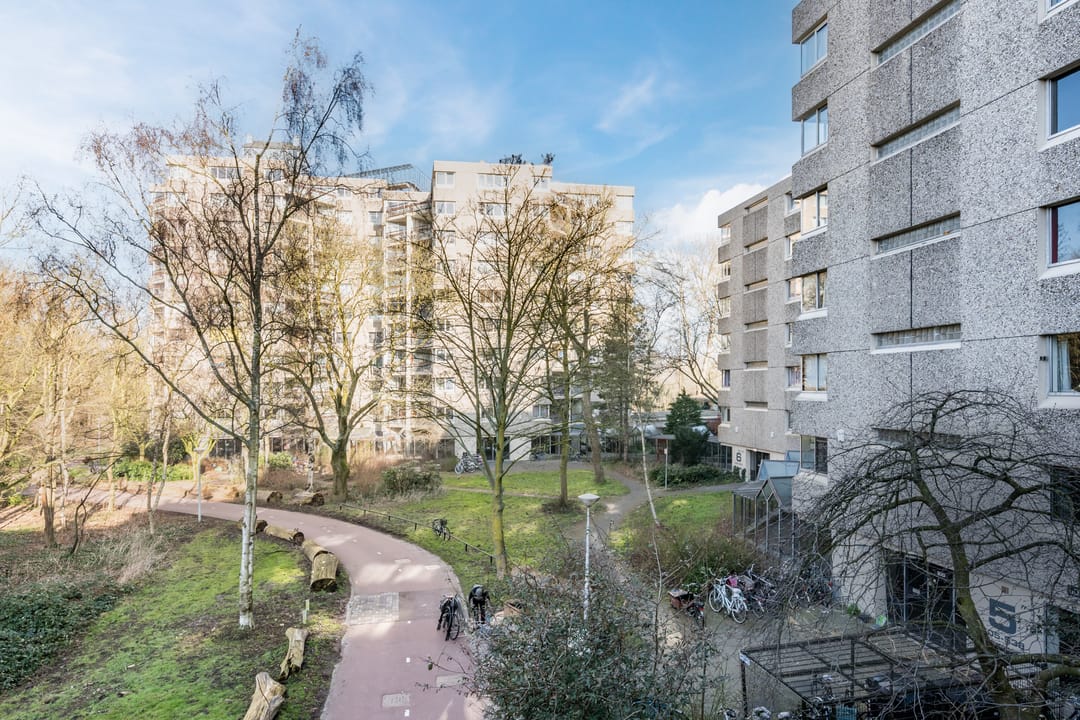 Photo 16 of Gouden Leeuw 731