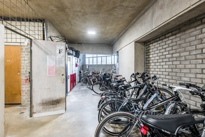 Foto 17 van Gouden Leeuw 731