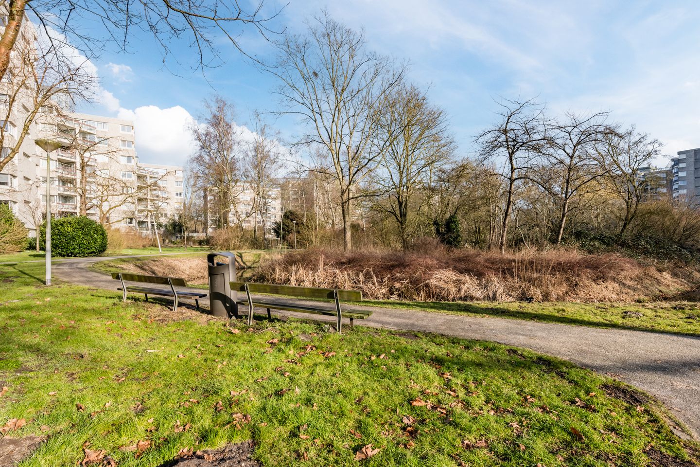 Photo 19 of Gouden Leeuw 731