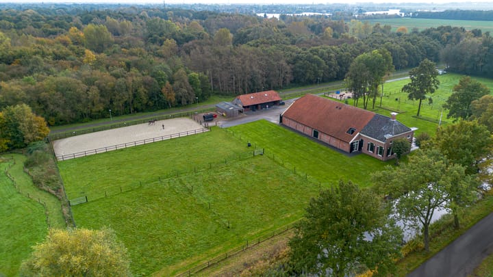 Photo 8 of Borgercompagnie 245