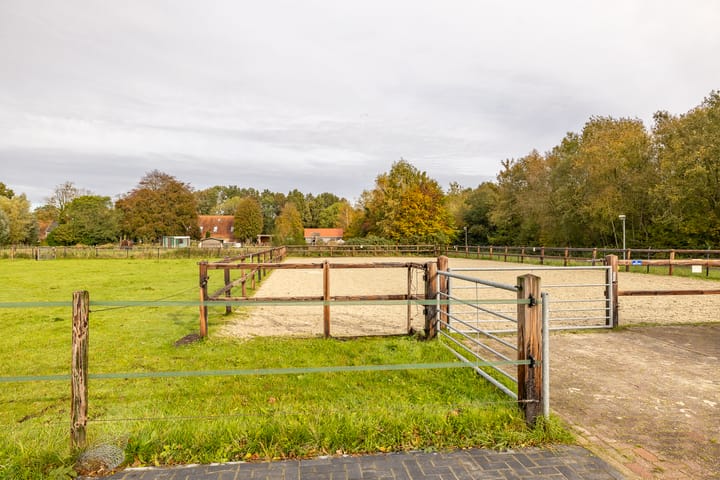 Photo 11 of Borgercompagnie 245