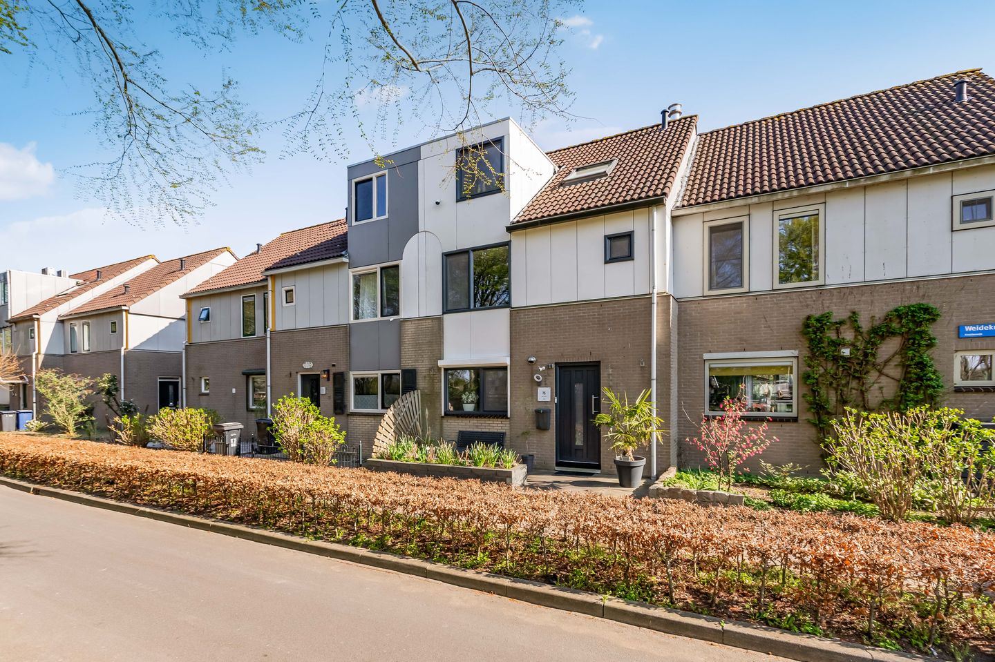 Foto 4 van Weidekruidveld 75