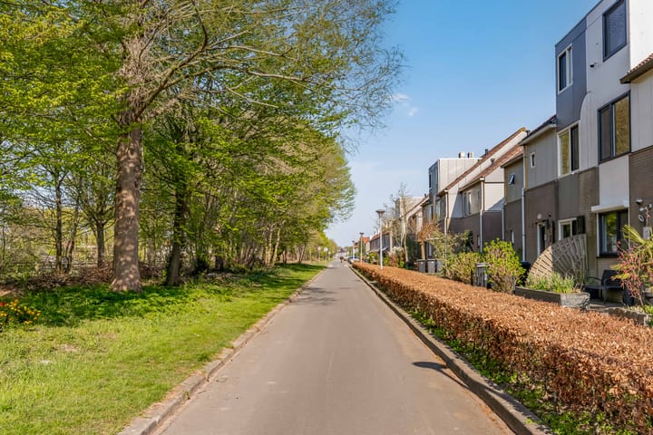 Foto 54 van Weidekruidveld 75