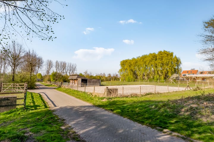 Foto 56 van Weidekruidveld 75