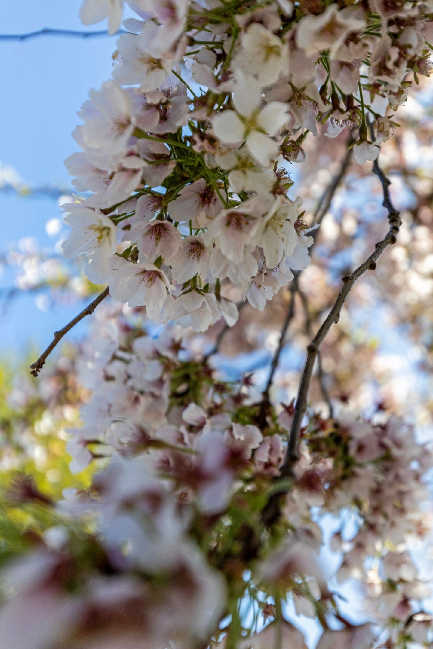 Foto 42 van President Kennedylaan 43