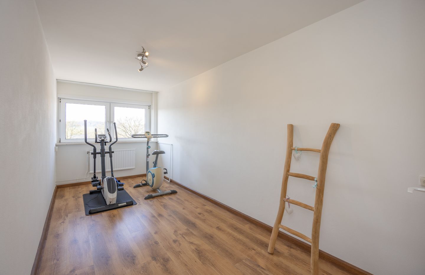 Foto 29 van Pastoor Steinbuschstraat 50