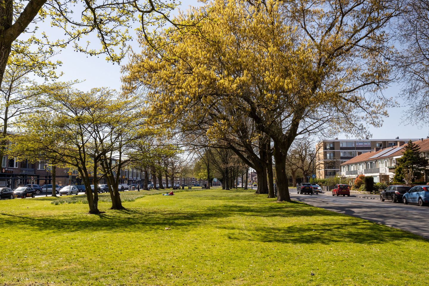 Foto 20 van Abdijstraat 156