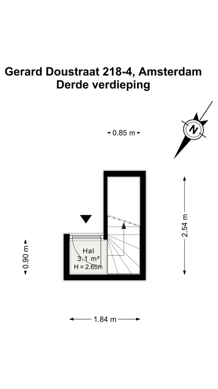 Foto 17 van Gerard Doustraat 218-4
