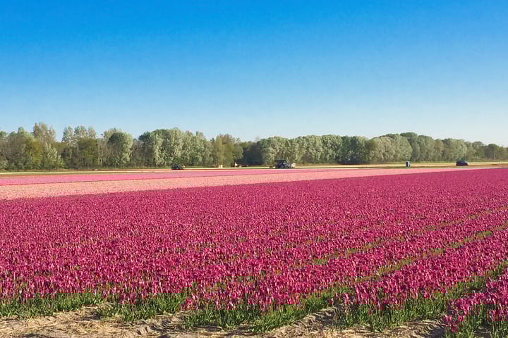 Foto 33 van Regenvlietweg 4
