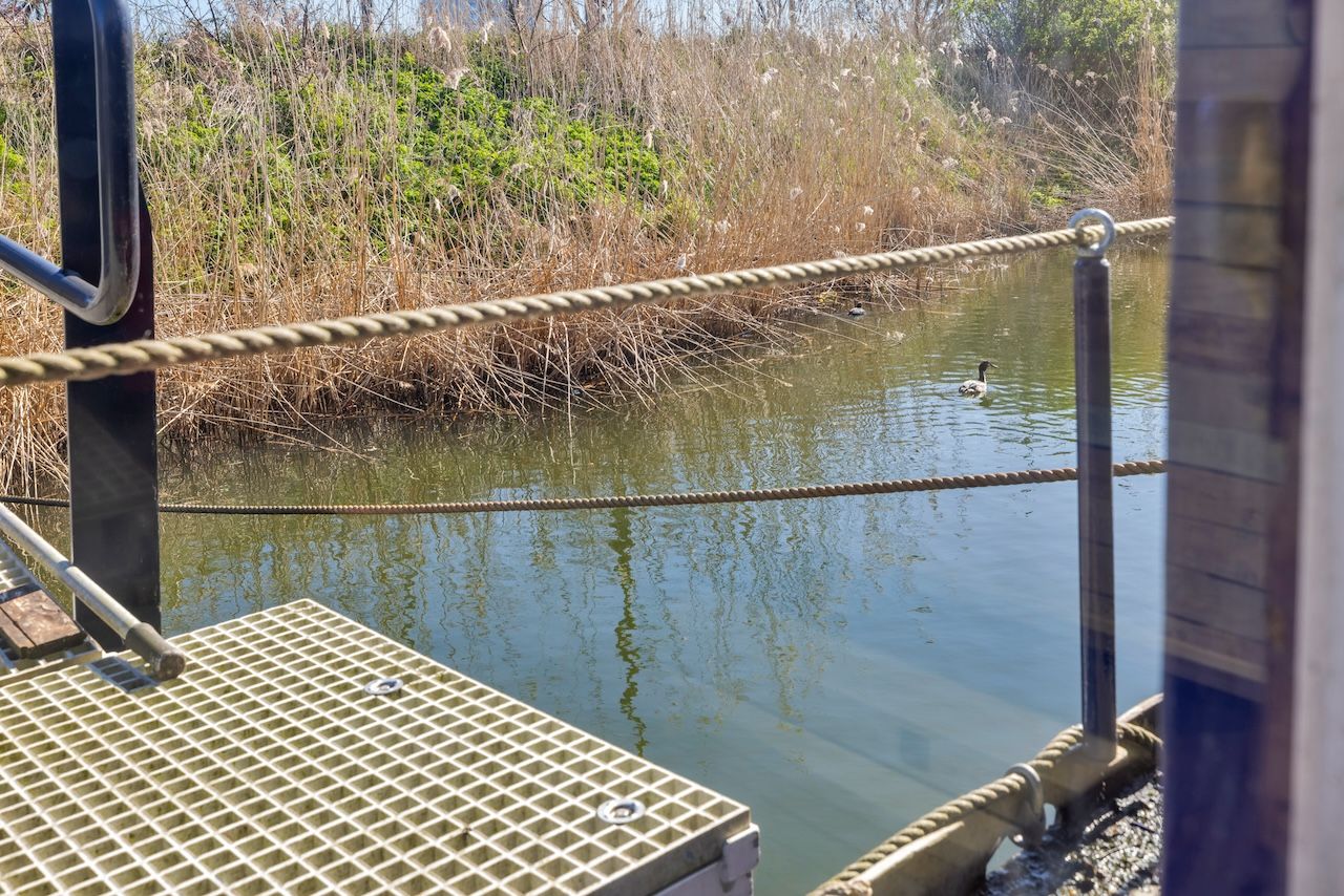 Foto 4 van Verbindingsdam 2