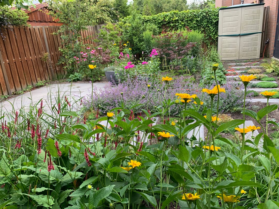 Foto 47 van Gunterstein 11