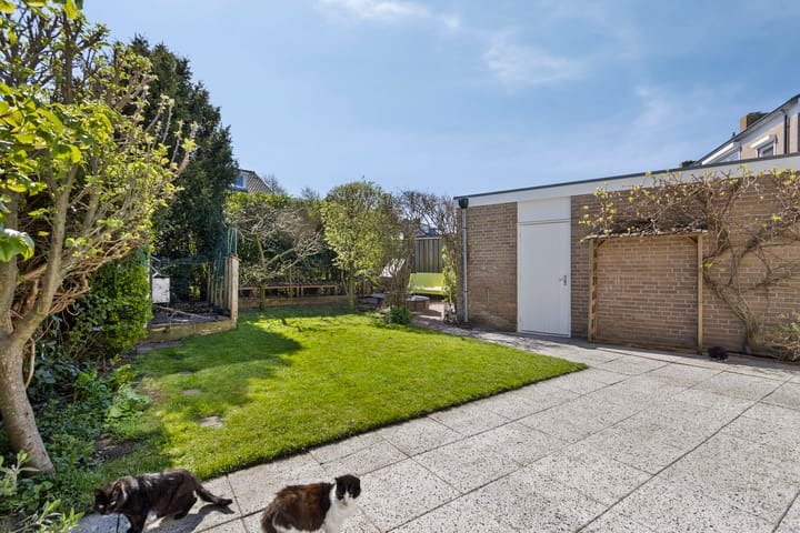 Foto 31 van Caustraat 52