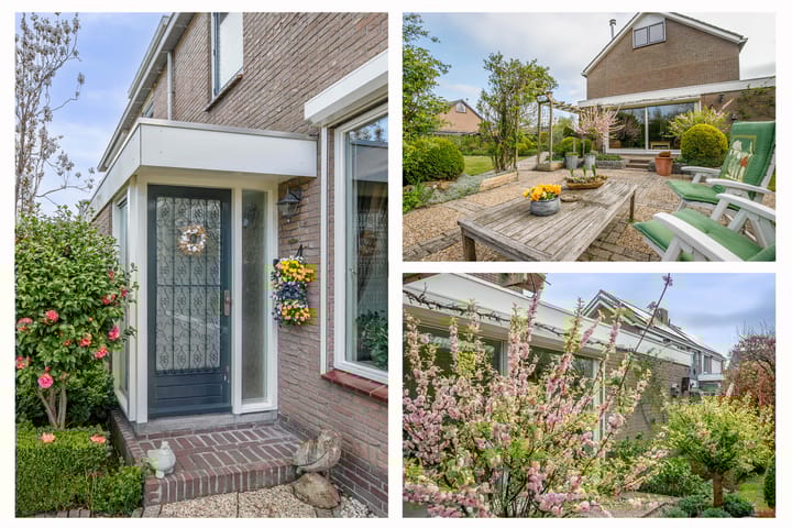 Foto 5 van Groene Zoom 2