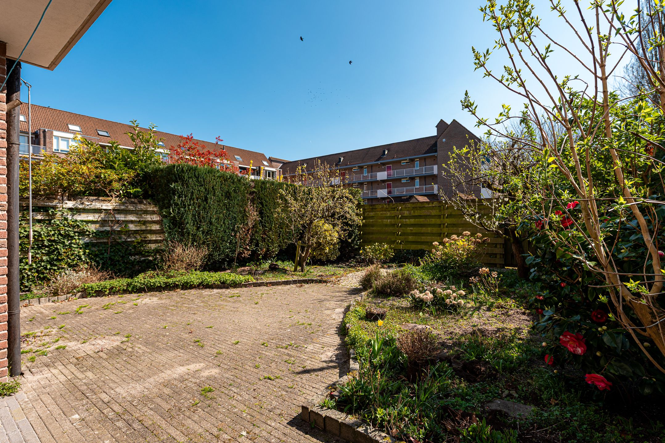 Foto 3 van Willem Barentszlaan 2