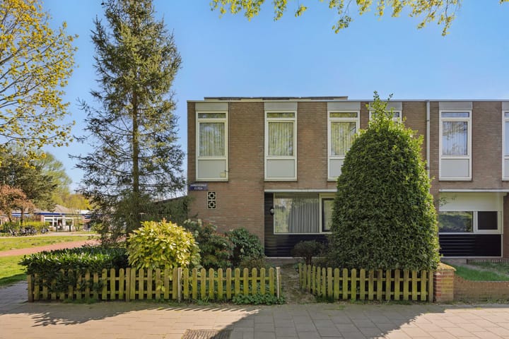 Foto 2 van Tarbotstraat 12