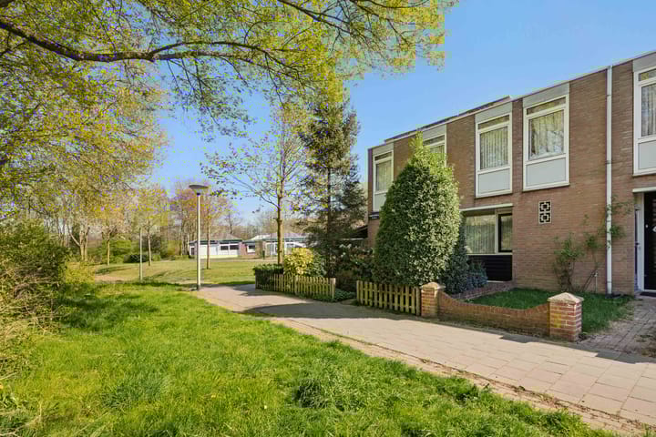 Foto 3 van Tarbotstraat 12