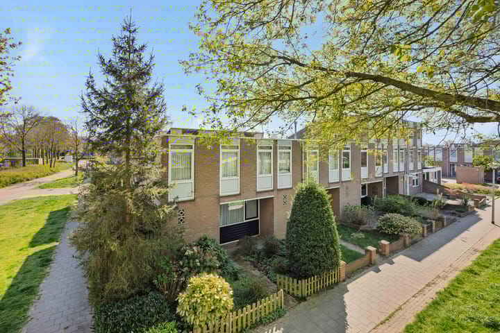 Foto 5 van Tarbotstraat 12