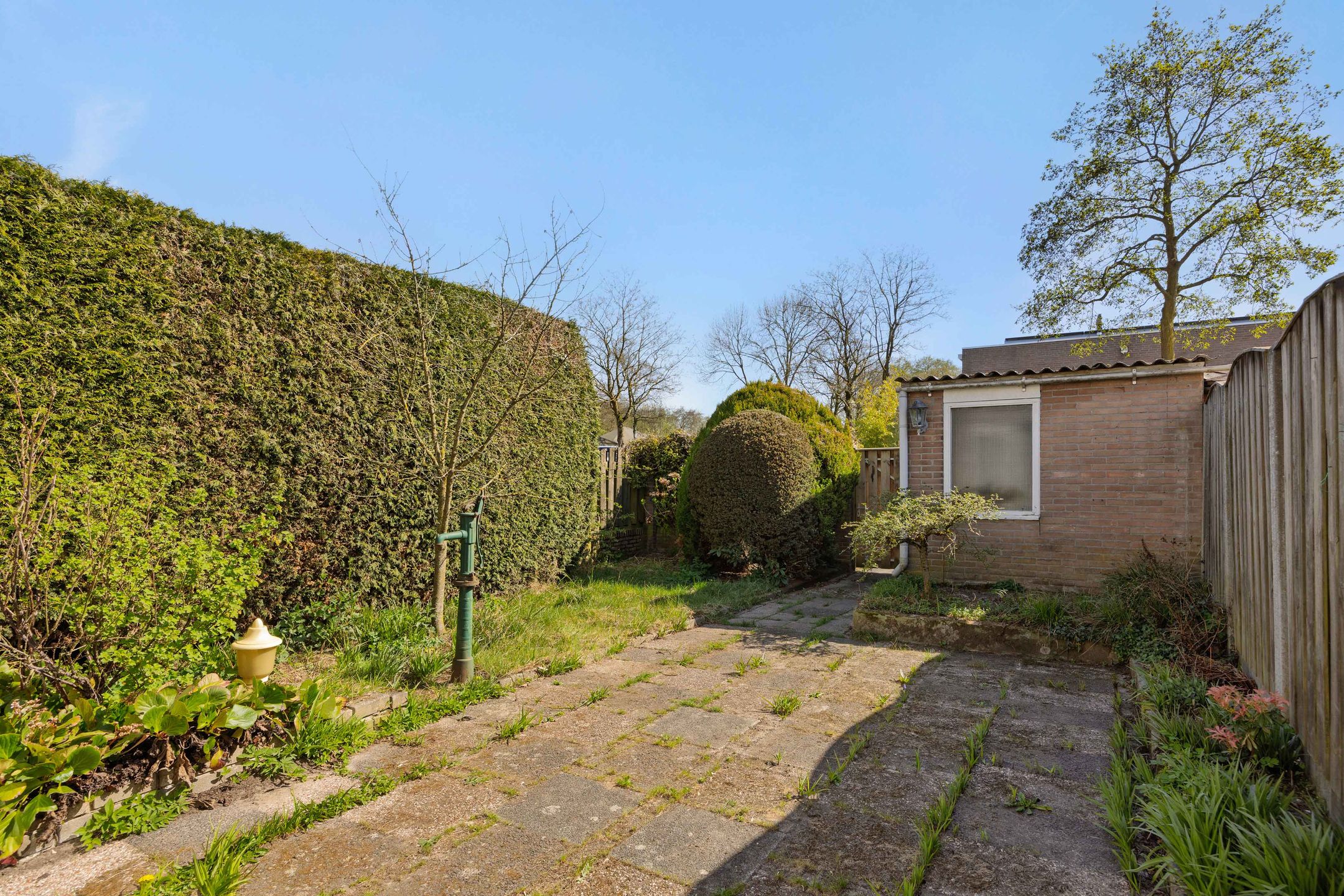 Foto 27 van Tarbotstraat 12