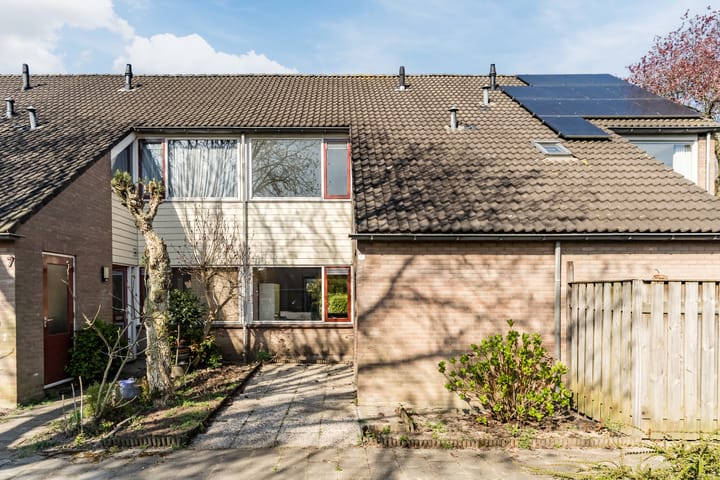 Foto 6 van Hoveniersland 6