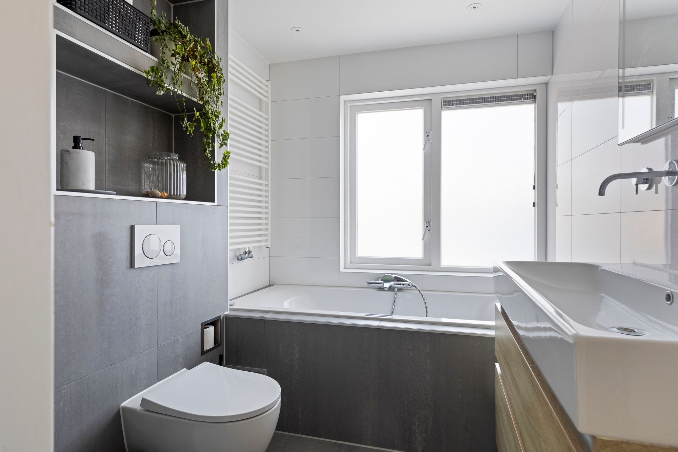 Foto 3 van Akkerdistel 7