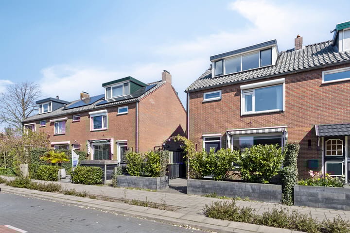 Foto 4 van Akkerdistel 7