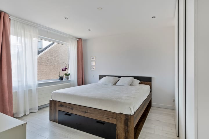 Foto 15 van Akkerdistel 7