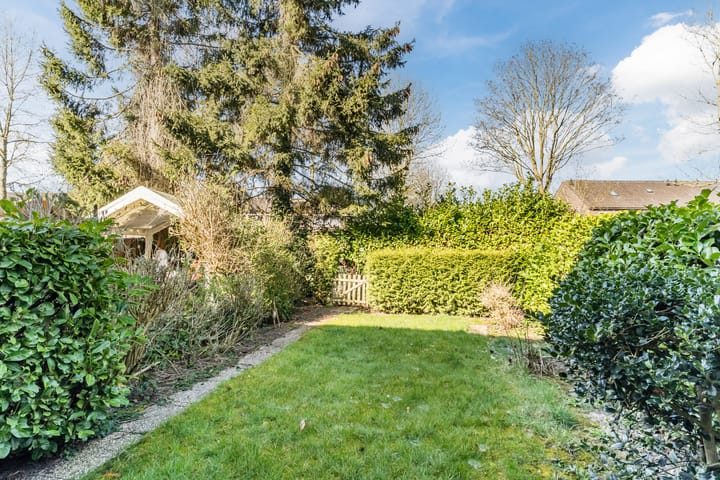 Foto 29 van Hoveniersland 6