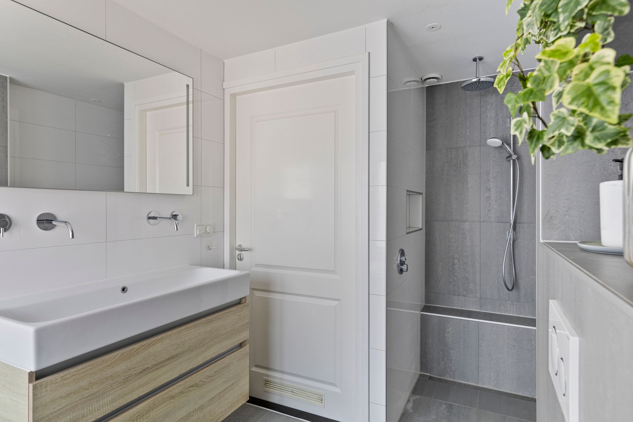 Foto 18 van Akkerdistel 7