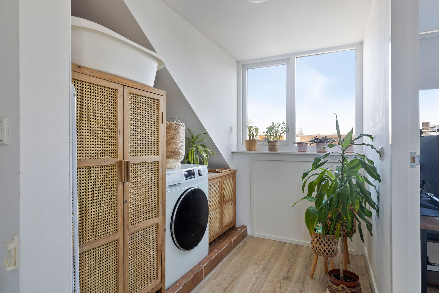 Foto 20 van Akkerdistel 7