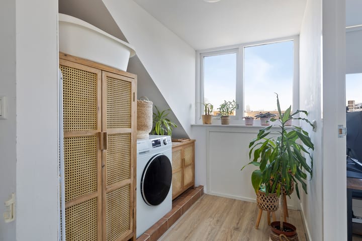 Foto 20 van Akkerdistel 7