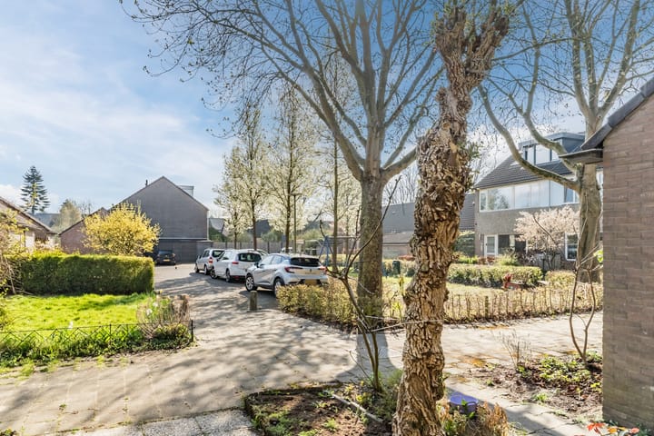 Foto 33 van Hoveniersland 6