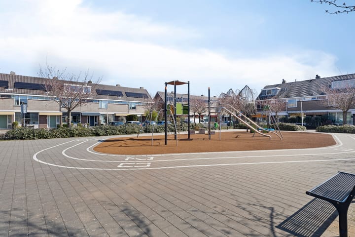 Foto 25 van Akkerdistel 7