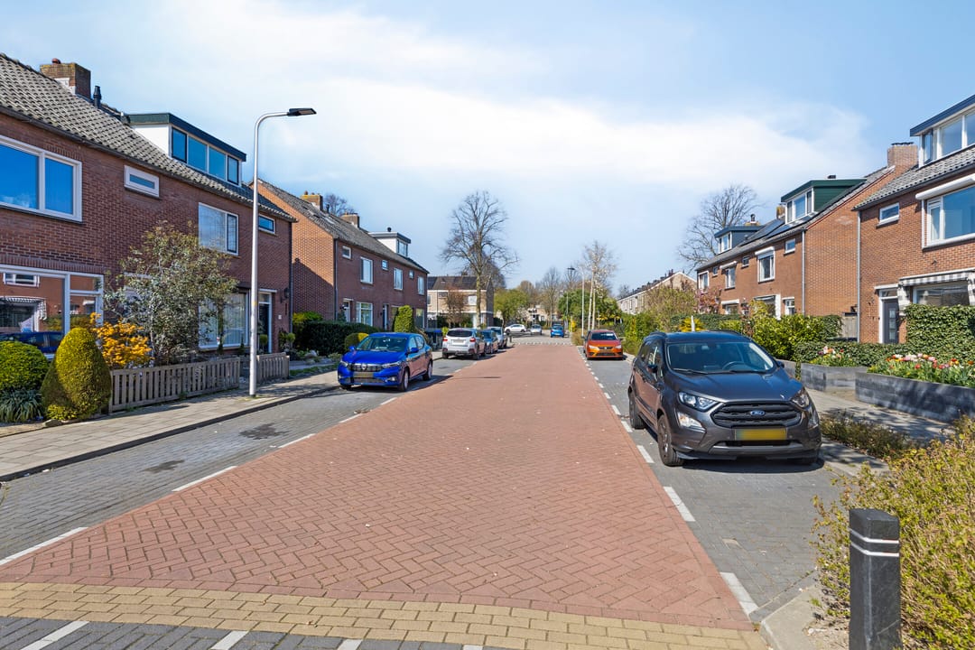 Foto 26 van Akkerdistel 7