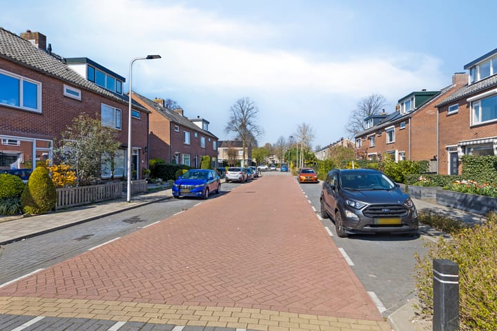 Foto 26 van Akkerdistel 7