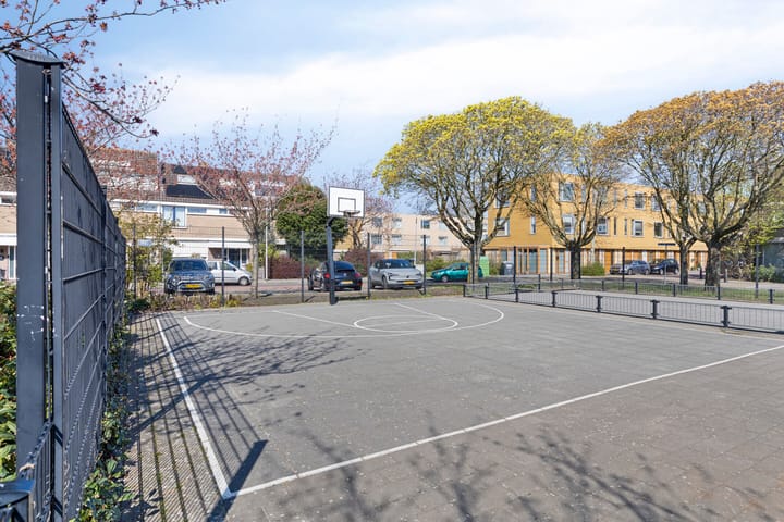 Foto 27 van Akkerdistel 7