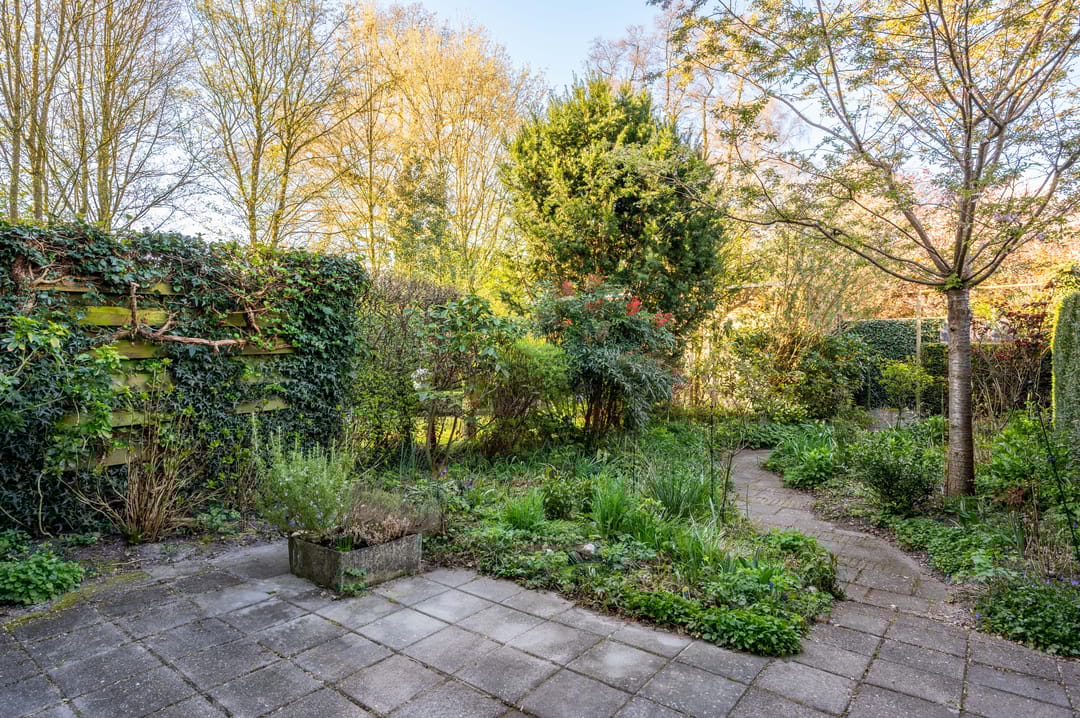 Photo 22 of De Wierse 23