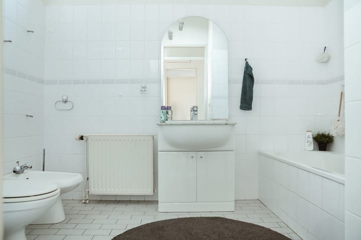 Photo 17 of Basishof 3