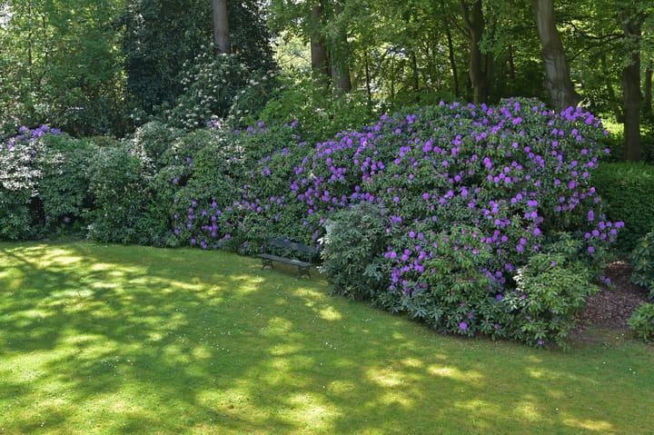 Foto 4 van Van Bronckhorstlaan 2