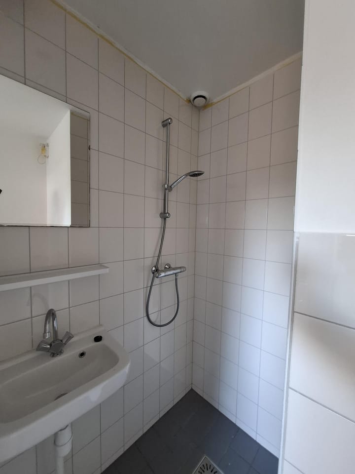 Foto 8 van Willem Weysingel 10