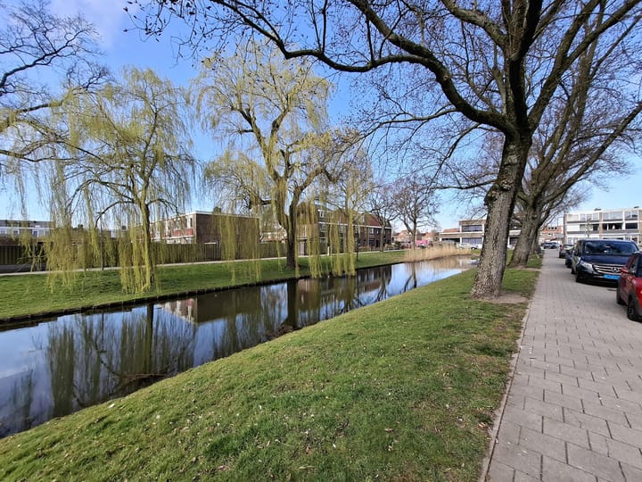 Foto 19 van Willem Weysingel 10